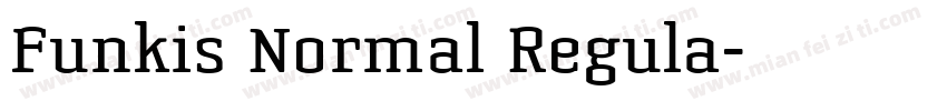 Funkis Normal Regula字体转换